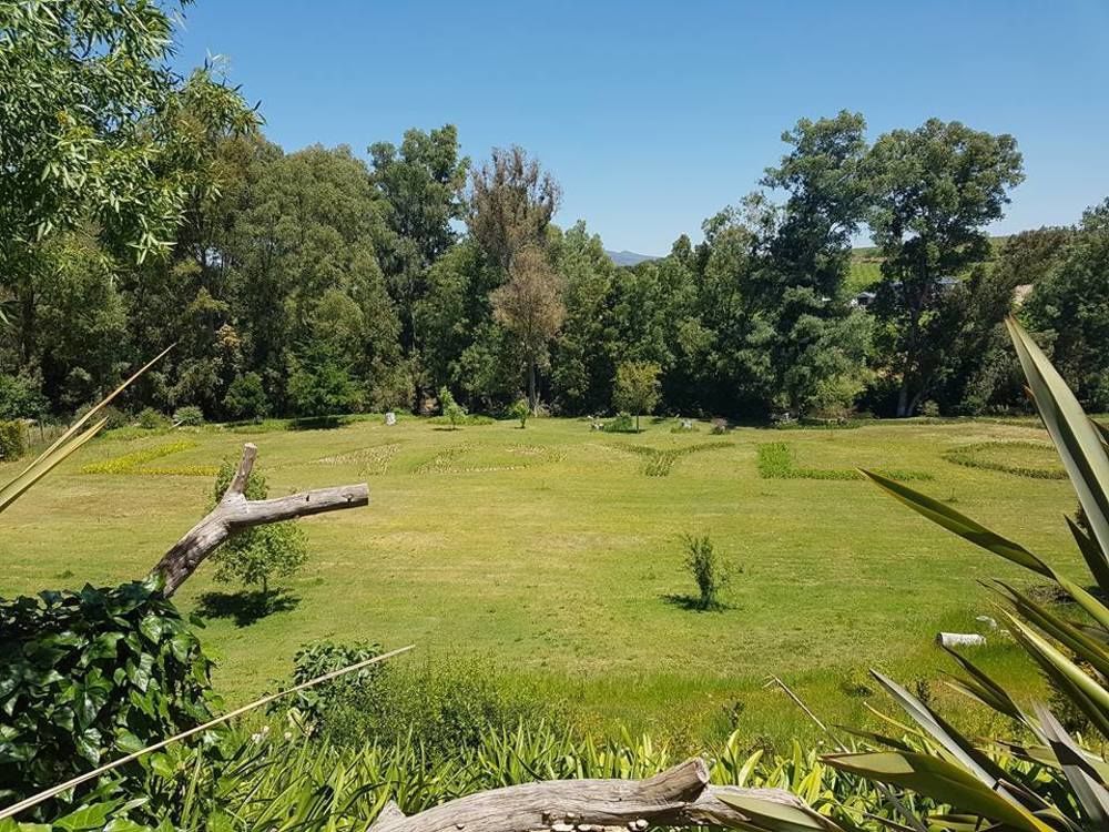 Lady Loch Country House Веллингтон Экстерьер фото